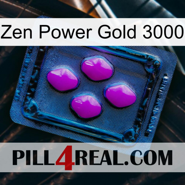 Zen Power Gold 3000 04.jpg